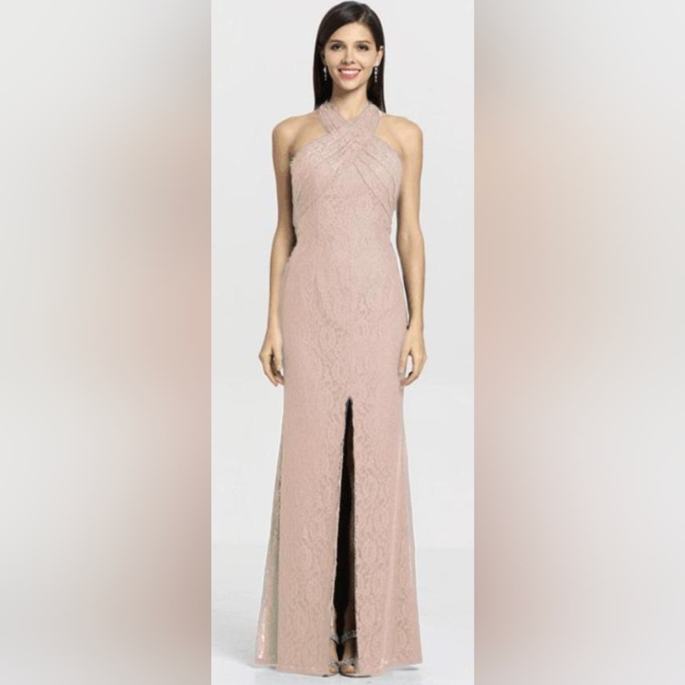 Gather and Gown Dress Tiffany Fitted Pink Blush Dress Size 12 NWT MSRP $299
